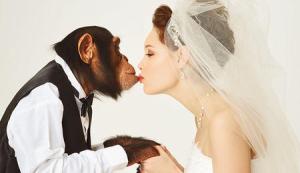 monkey-bride